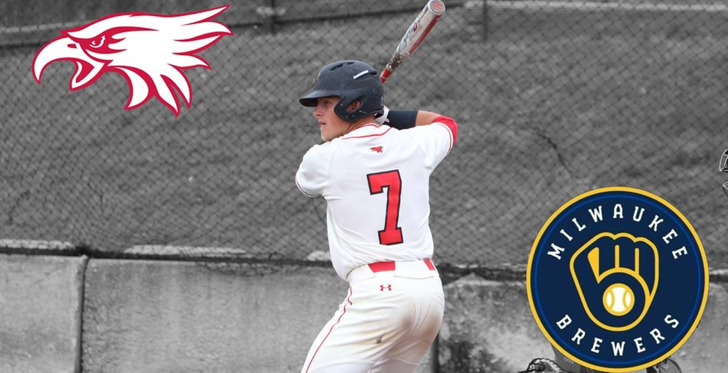 Former Northeast baseball All-American signs with the Milwaukee Brewers