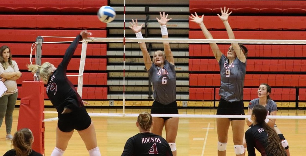 Hawks volleyball grabs first conference win of 2019